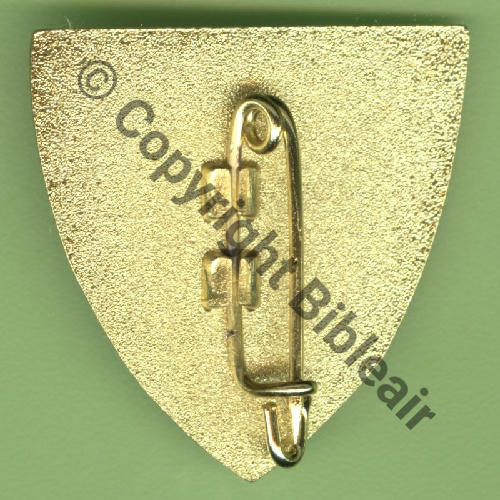 A1489 2023 ESCADRON TRANSFO RAFALE 3.4 AQUITAINE SAINT DIZIER  SM 2Griffes Dos irreg scintillant SNH Src.Y.GENTY 17Eur(x11) 